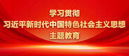 日韩操逼学习贯彻习近平新时代中国特色社会主义思想主题教育_fororder_ad-371X160(2)